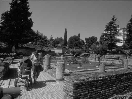 ImageImage1585.web.jpg