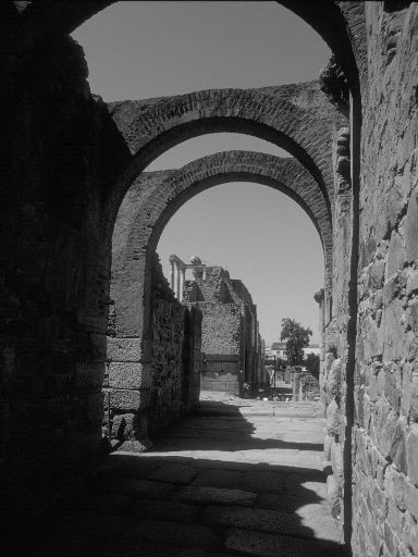 ImageImage1586.web.jpg