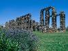 [thumbnail of Picture 3]