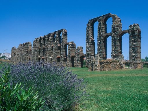 ImageImage1605.web.jpg