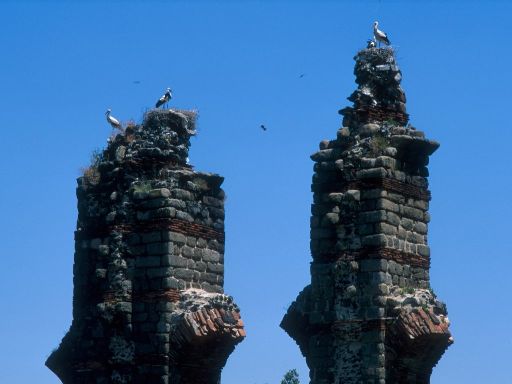 ImageImage1609.web.jpg