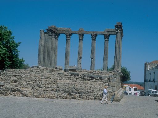 ImageImage1614.web.jpg
