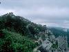 [thumbnail of Picture 24]