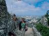 [thumbnail of Picture 25]