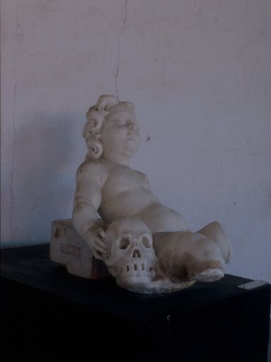 ImageImage1661.web.jpg