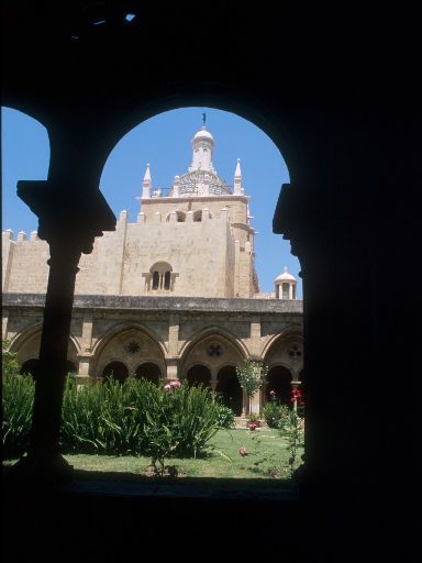 ImageImage1672.web.jpg