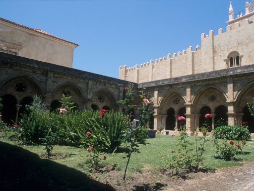 ImageImage1673.web.jpg