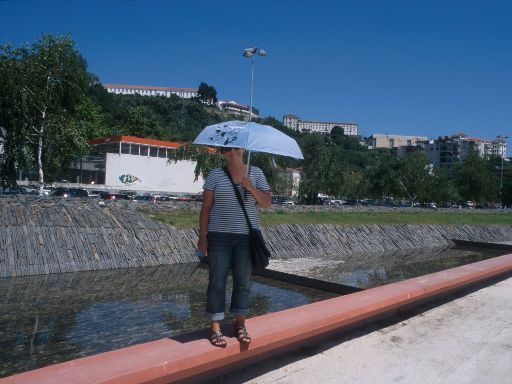 ImageImage1674.web.jpg