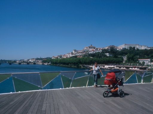ImageImage1675.web.jpg