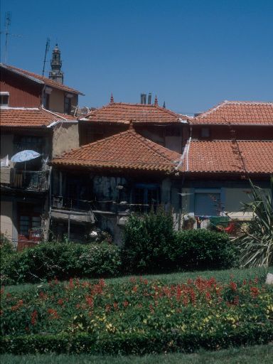 ImageImage1682.web.jpg