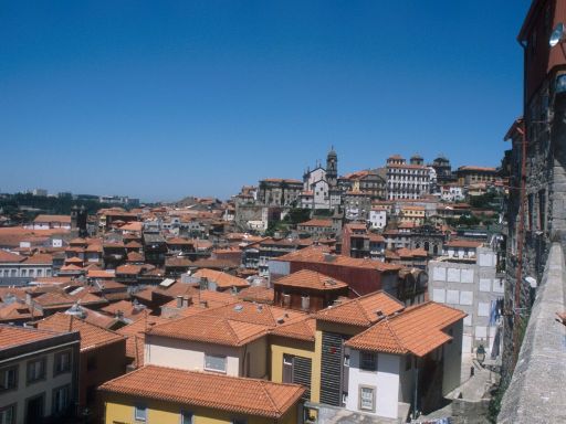 ImageImage1684.web.jpg