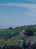 [thumbnail of Picture 12]
