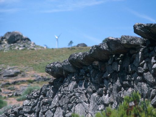 ImageImage1695.web.jpg