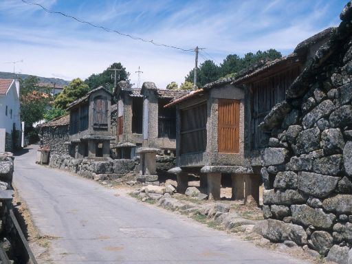ImageImage1698.web.jpg