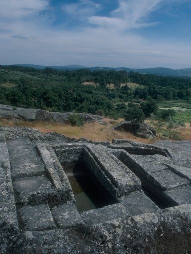 ImageImage1701.web.jpg