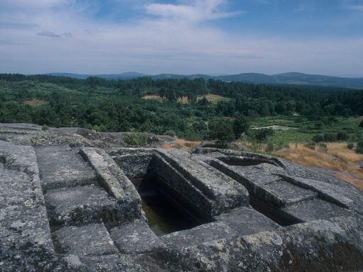 ImageImage1702.web.jpg