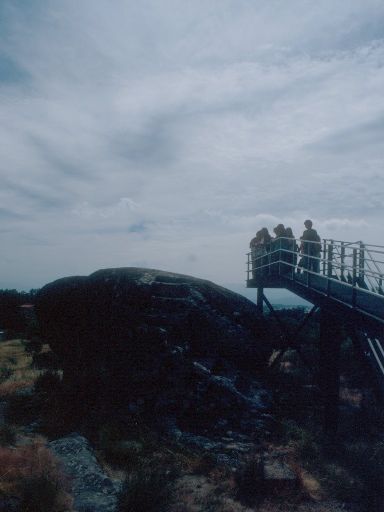 ImageImage1705.web.jpg