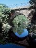 [thumbnail of Picture 1]