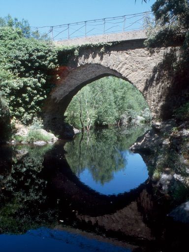 ImageImage1722.web.jpg