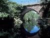 [thumbnail of Picture 4]