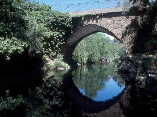 ImageImage1729.web.jpg