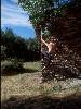 [thumbnail of Picture 7]