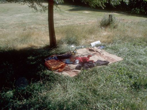 ImageImage1734.web.jpg
