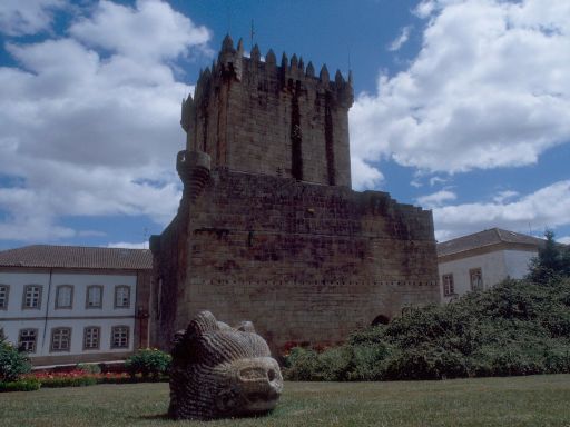 ImageImage1735.web.jpg