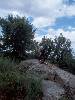 [thumbnail of Picture 16]