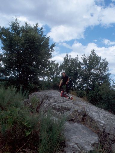 ImageImage1742.web.jpg