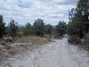 [thumbnail of Picture 17]