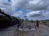 [thumbnail of Picture 18]