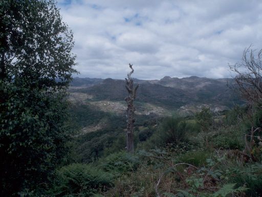 ImageImage1753.web.jpg