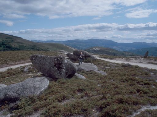 ImageImage1756.web.jpg