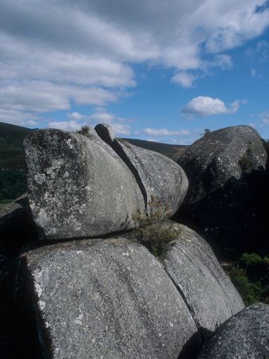ImageImage1762.web.jpg