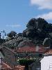 [thumbnail of Picture 6]