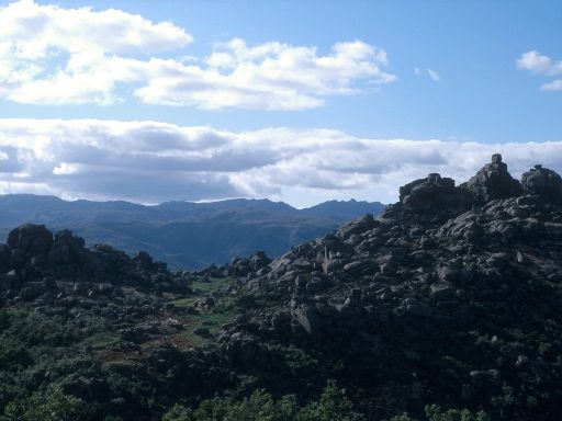 ImageImage1767.web.jpg