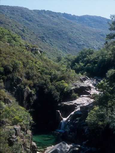 ImageImage1771.web.jpg