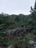 [thumbnail of Picture 16]
