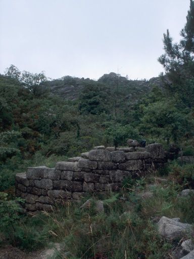 ImageImage1777.web.jpg