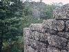 [thumbnail of Picture 17]