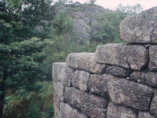 ImageImage1778.web.jpg