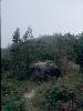 [thumbnail of Picture 18]
