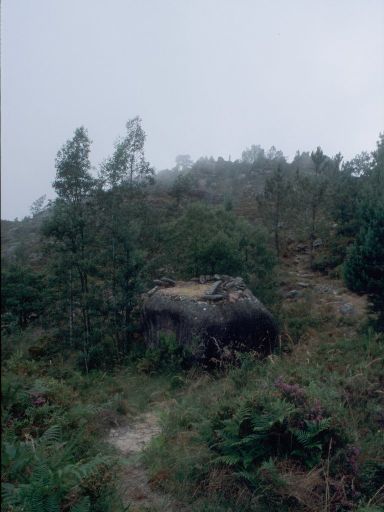 ImageImage1779.web.jpg