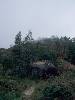 [thumbnail of Picture 19]