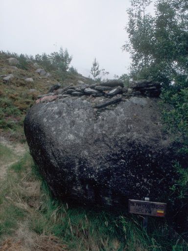 ImageImage1781.web.jpg