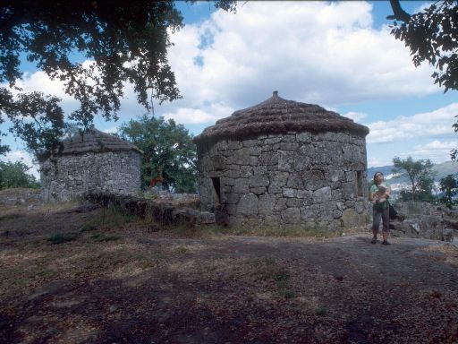 ImageImage1804.web.jpg