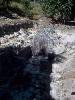 [thumbnail of Picture 5]