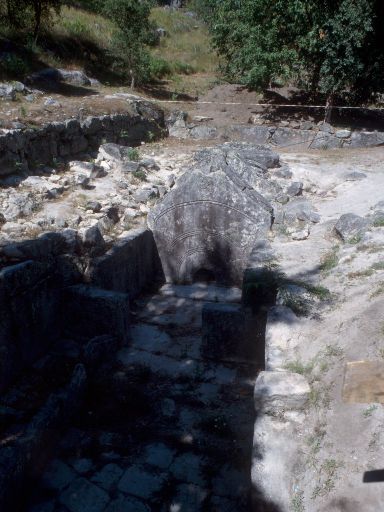 ImageImage1806.web.jpg