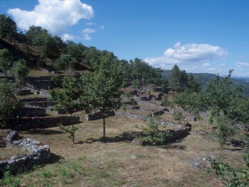 ImageImage1808.web.jpg
